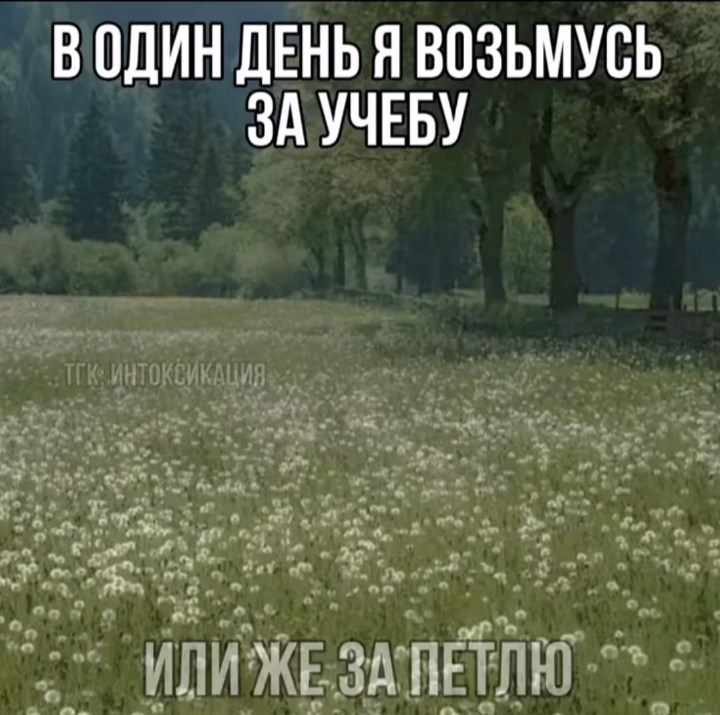 Обложка книги «Ужасный стих от ужасной девушки»