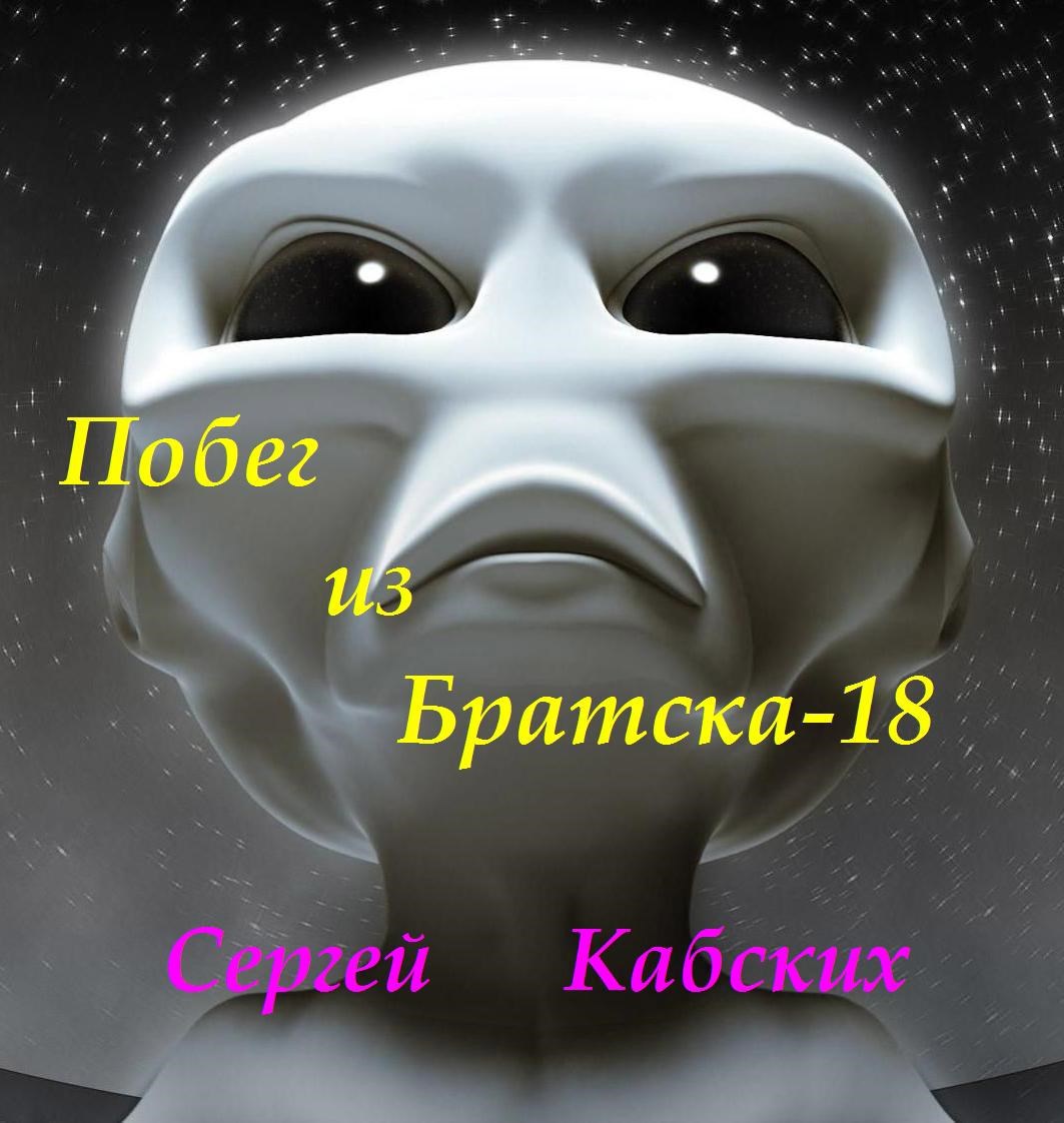 Обложка книги «Побег из Братска-18»