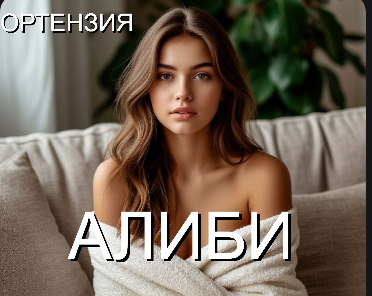 Обложка книги «Алиби»