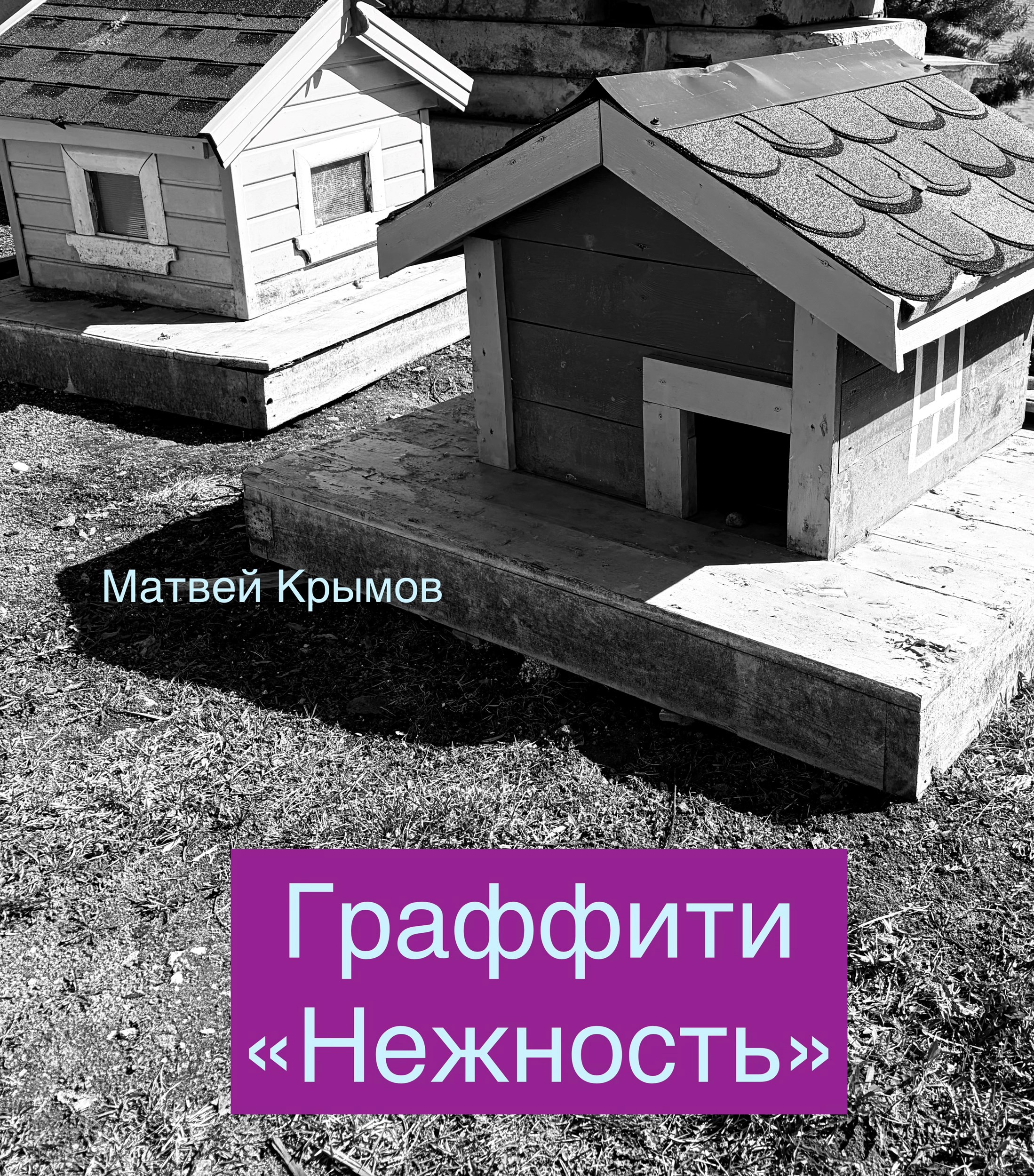 Обложка книги «Граффити «Нежность»»