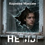 Обложка произведения Не мы (публик)