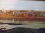 Обложка произведения Шкуркин