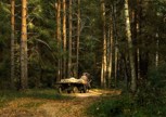 Обложка произведения Ночью на телеге да из кладбища... Байка бабушки Ани