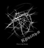 Обложка произведения Крылья