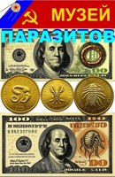 Обложка произведения Музей паразитов