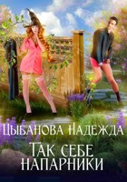Обложка произведения Так себе напарники