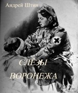 Обложка произведения Слёзы Воронежа