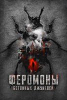Обложка произведения Феромоны бетонных джунглей