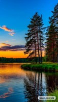 Обложка произведения Лето, ах лето