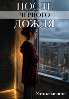 Обложка произведения После чёрного дождя