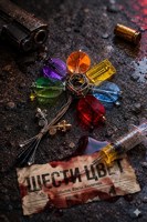 Обложка произведения Шести цвет