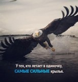 Обложка произведения Охотники . (Стихи" 2019- года ).
