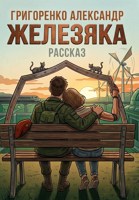 Обложка произведения Железяка