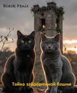 Обложка произведения Тайна заброшенной башни