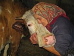 Обложка произведения Бабушкины блинчики для внученьки Гулиночки: Рецептт и секреты идеальных блинчиков. Утро в деревне