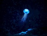 Обложка произведения Глубина возвращения