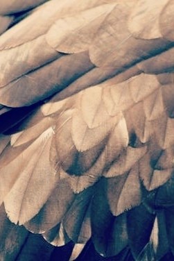 Обложка произведения Я УБИЛА ЕГО