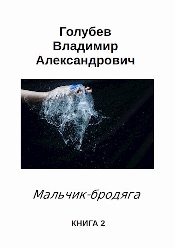 Обложка произведения Мальчик-бродяга 2