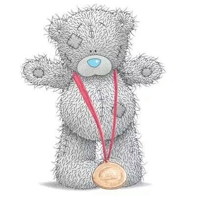 Обложка произведения Тедди-чемпион или добро везде побеждает.