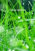 Обложка произведения Сила любви