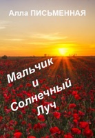 Обложка произведения Мальчик и Солнечный Луч