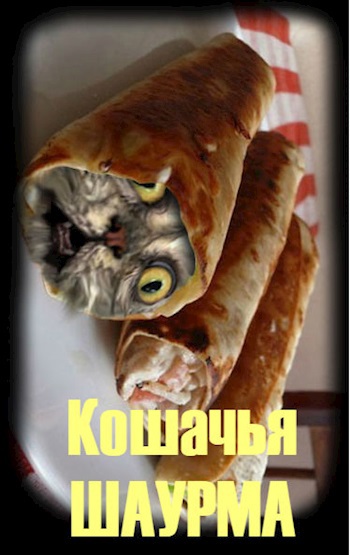 Кот шаурма рисунок