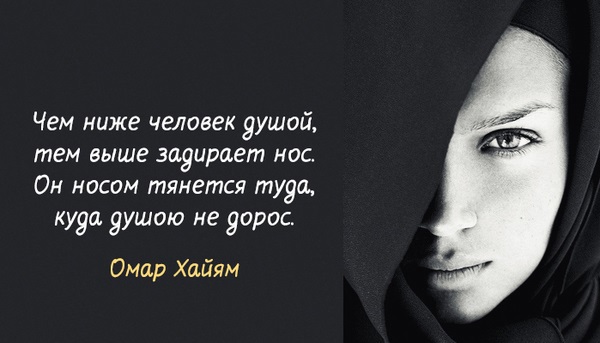 Обложка произведения Всегда Поэту жизни мало