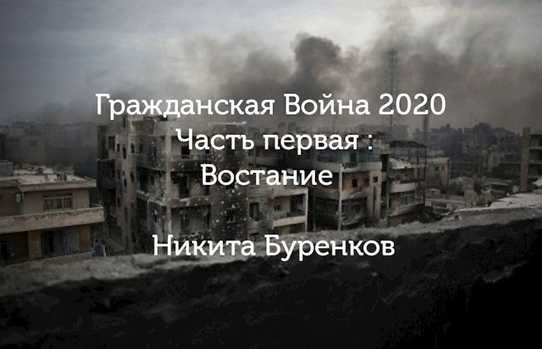 Обложка произведения Гражданская война 2020    часть 1 :Востание