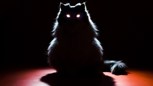 Обложка произведения Мальчик-воин и мама-кошка