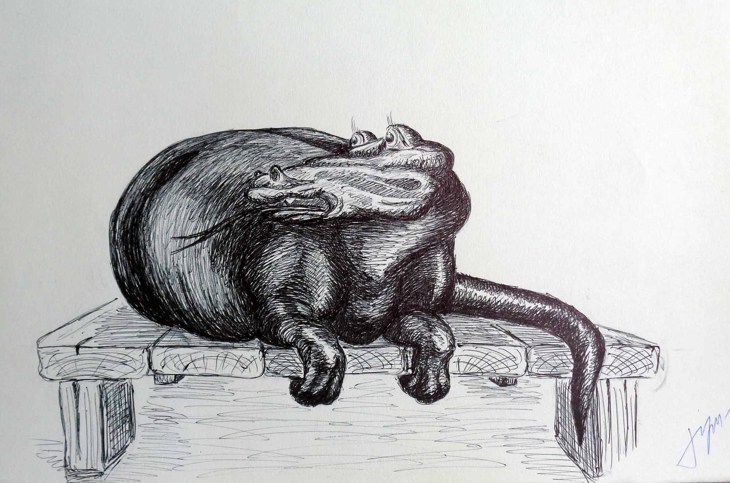 Иллюстрация