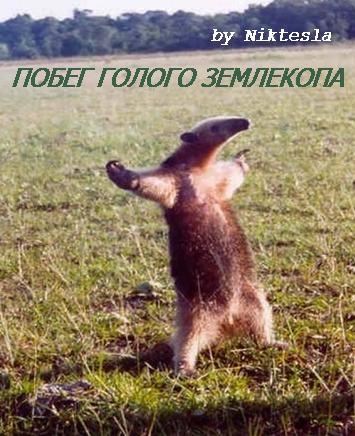 Обложка произведения Побег голого землекопа